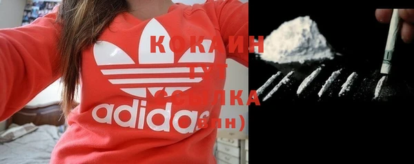 мдпв Елизово