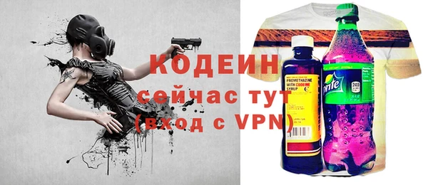 мдпв Елизово