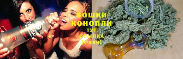 мдпв Елизово