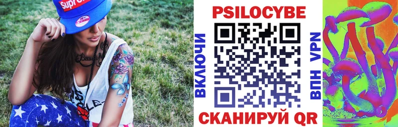 Купить  Светлый  Галлюциногенные грибы Psilocybine cubensis 